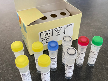 IDK Coronavirus RT-PCR Tests